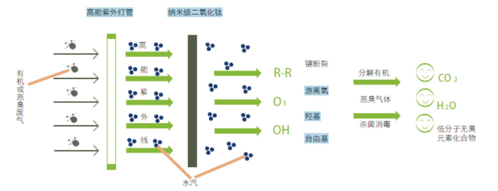 UV光催化氧化凈化設(shè)備